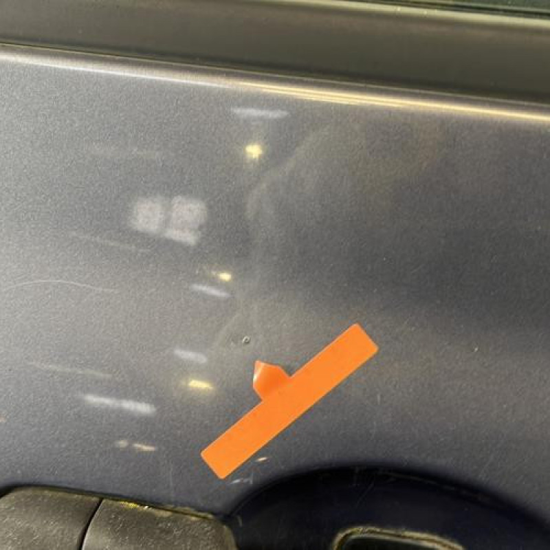 Porte avant droit RENAULT CLIO 3 Photo n°6