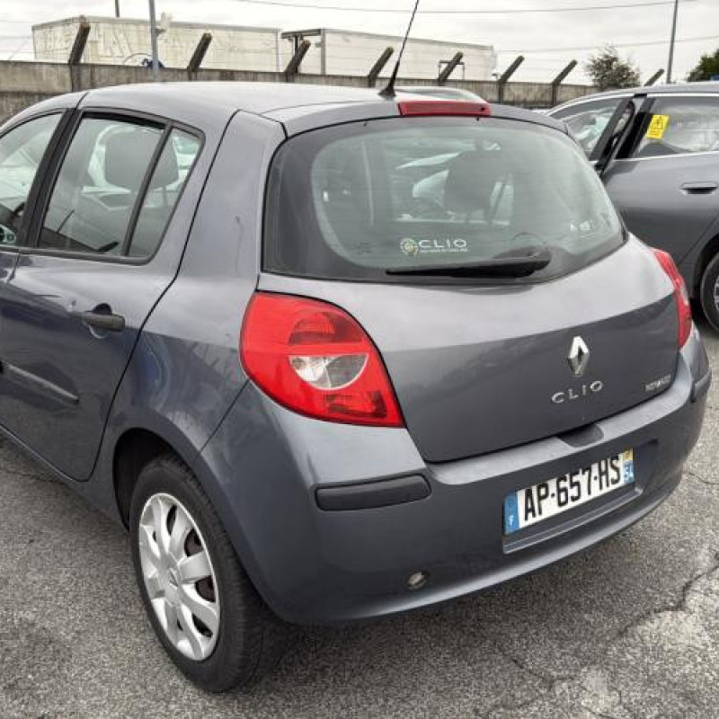 Porte avant droit RENAULT CLIO 3 Photo n°11