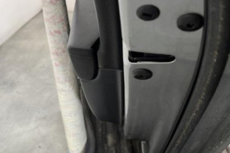 Porte arriere droit VOLKSWAGEN PASSAT 6