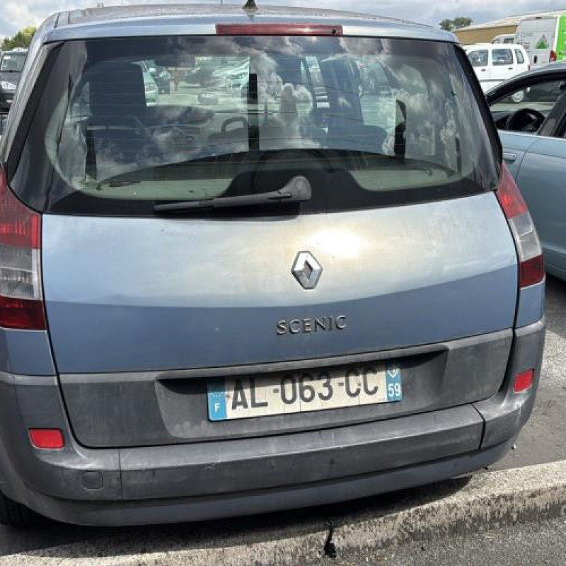 Custode arriere gauche RENAULT SCENIC 2 Photo n°9