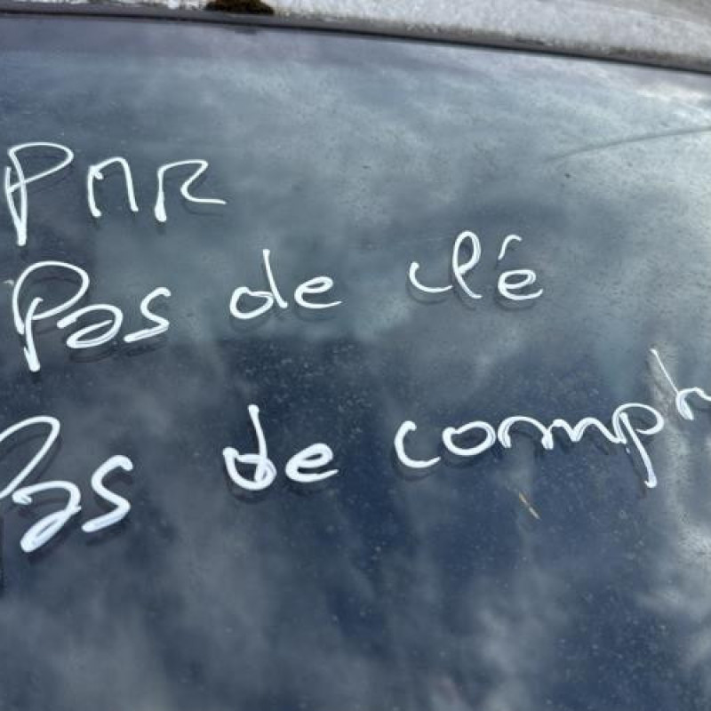 Pulseur d'air PEUGEOT EXPERT 1 Photo n°15