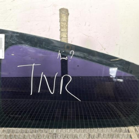 Custode arriere gauche RENAULT CLIO 3 Photo n°1