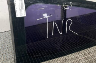 Custode arriere gauche RENAULT CLIO 3