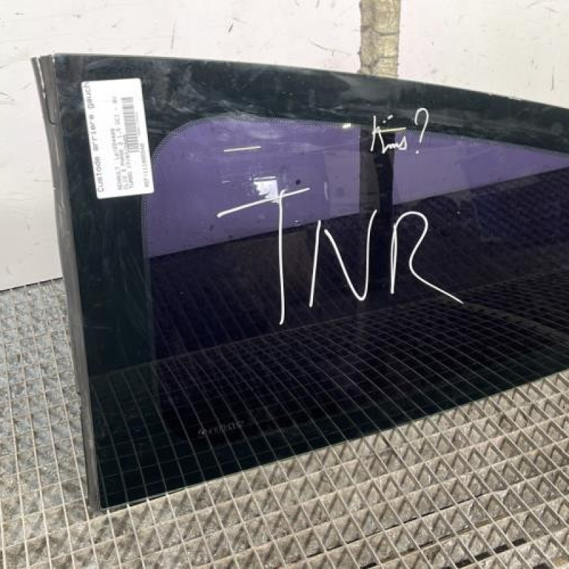 Custode arriere gauche RENAULT CLIO 3 Photo n°2