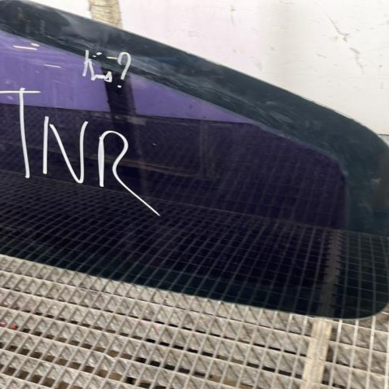 Custode arriere gauche RENAULT CLIO 3 Photo n°3