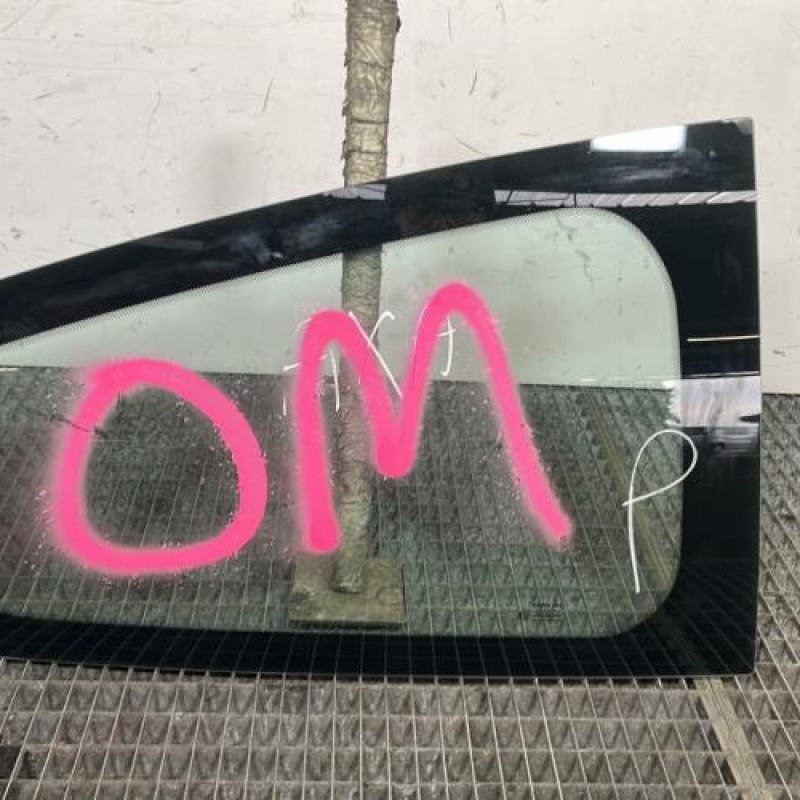 Custode arriere droit RENAULT CLIO 3 Photo n°1