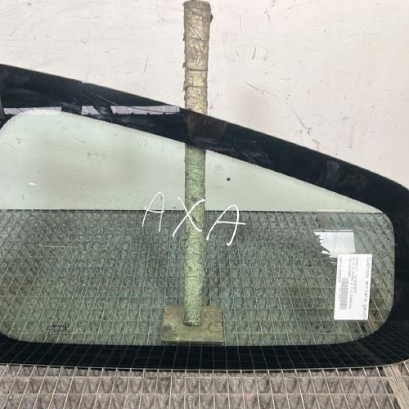 Custode arriere gauche RENAULT CLIO 3 Photo n°1