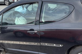 Catalyseur (echappement) PEUGEOT 207