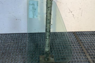 Custode arriere droit (porte) VOLKSWAGEN GOLF 4