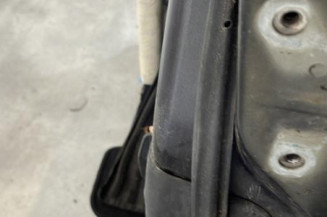 Porte avant gauche FORD FIESTA 6 Photo n°1