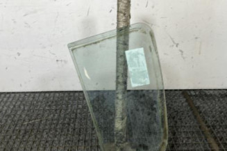 Custode arriere droit (porte) DACIA SANDERO 1