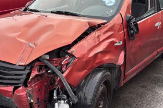 Custode arriere droit (porte) DACIA SANDERO 1