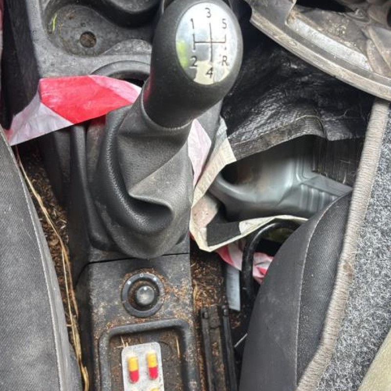 Custode arriere droit (porte) DACIA SANDERO 1 Photo n°19