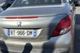 Custode avant droit (porte) PEUGEOT 207