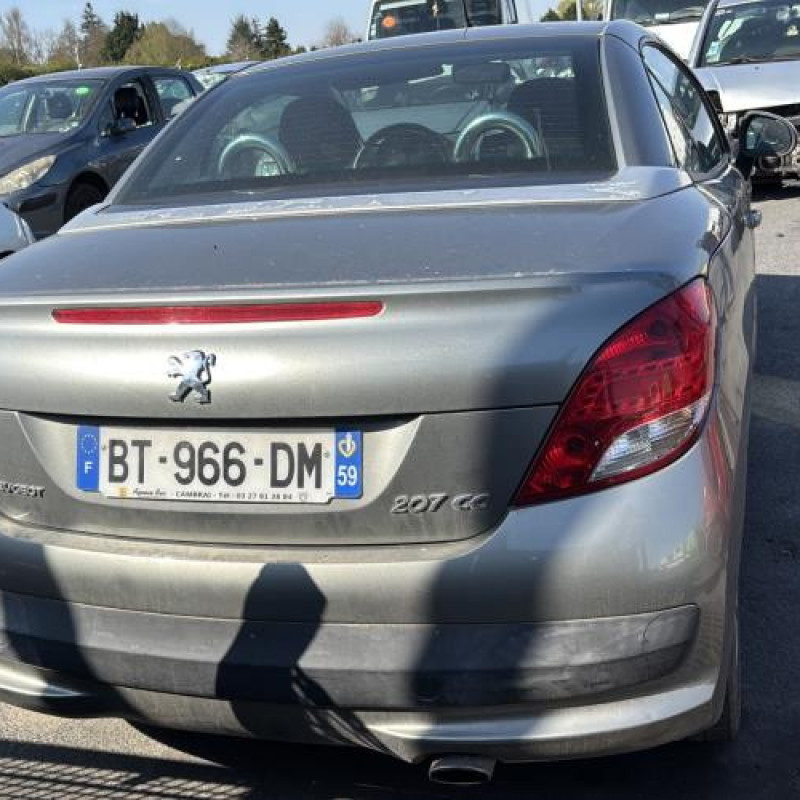 Custode avant droit (porte) PEUGEOT 207 Photo n°20