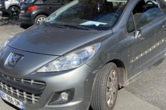 Custode avant gauche (porte) PEUGEOT 207