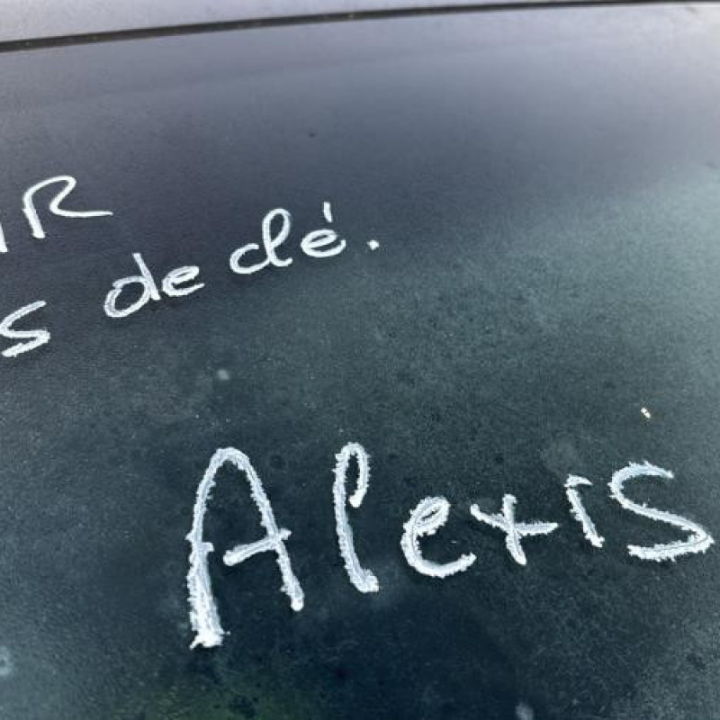 Poignee interieur avant droit AUDI A2 Photo n°19