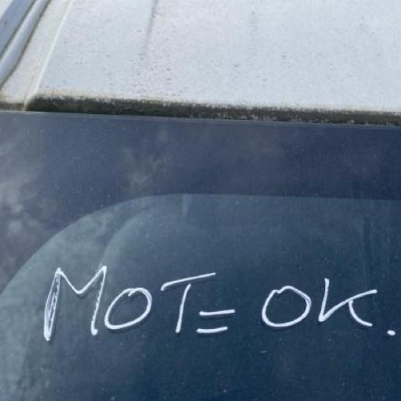 Poignee interieur avant droit NISSAN NV200 Photo n°18