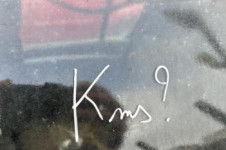 Poignee interieur avant gauche DACIA SANDERO 1