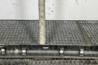 Baguette de porte arriere gauche  CITROEN C4 1