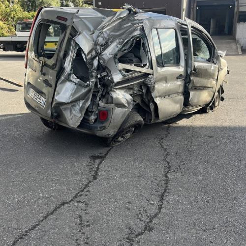 Baguette de porte arriere gauche  RENAULT KANGOO 2 Photo n°7