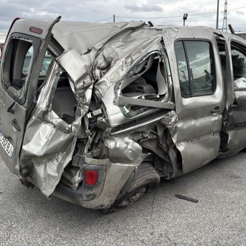 Baguette de porte arriere gauche  RENAULT KANGOO 2 Photo n°19