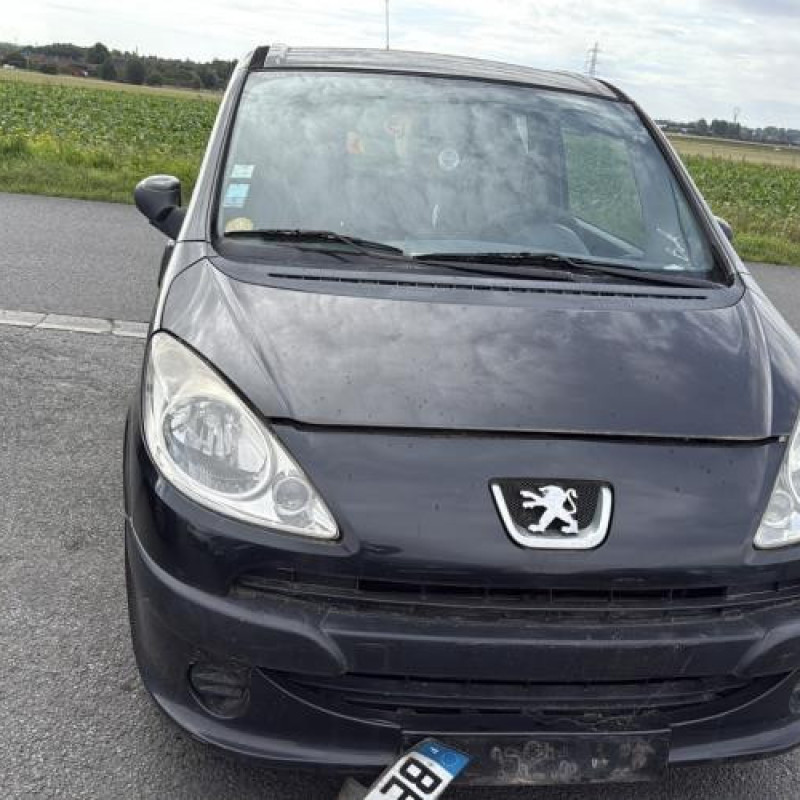 Poignee porte avant droit PEUGEOT 1007 Photo n°12