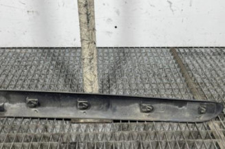 Baguette de porte arriere droite RENAULT CLIO 2