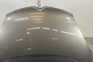 Capot CITROEN C4 GRAND PICASSO 1 Photo n°1