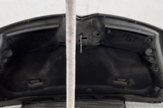 Capot CITROEN C4 GRAND PICASSO 1