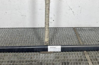 Baguette de porte avant gauche RENAULT CLIO 3 Photo n°1