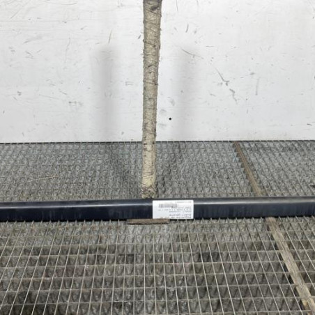 Baguette de porte avant gauche RENAULT CLIO 3 Photo n°1