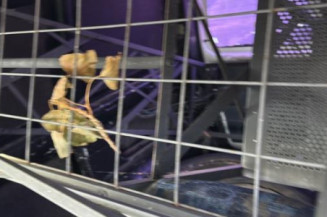 Baguette de porte avant droite PEUGEOT PARTNER 1