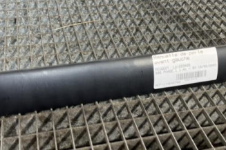 Baguette de porte avant gauche PEUGEOT 206