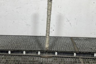 Baguette de porte avant droite PEUGEOT 207