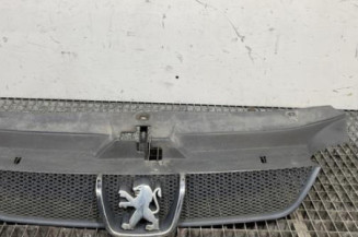 Calandre PEUGEOT 406 Photo n°1