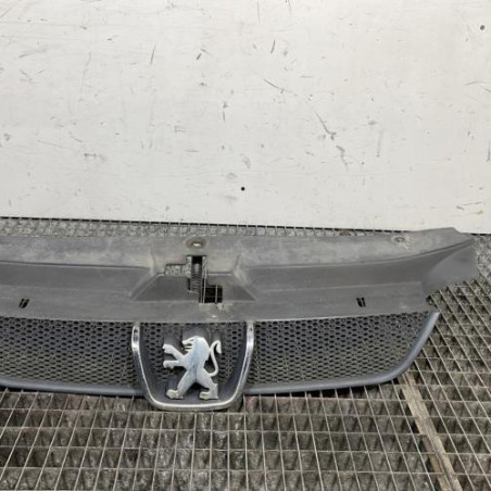 Calandre PEUGEOT 406 Photo n°1
