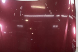 Capot PEUGEOT 406 Photo n°1