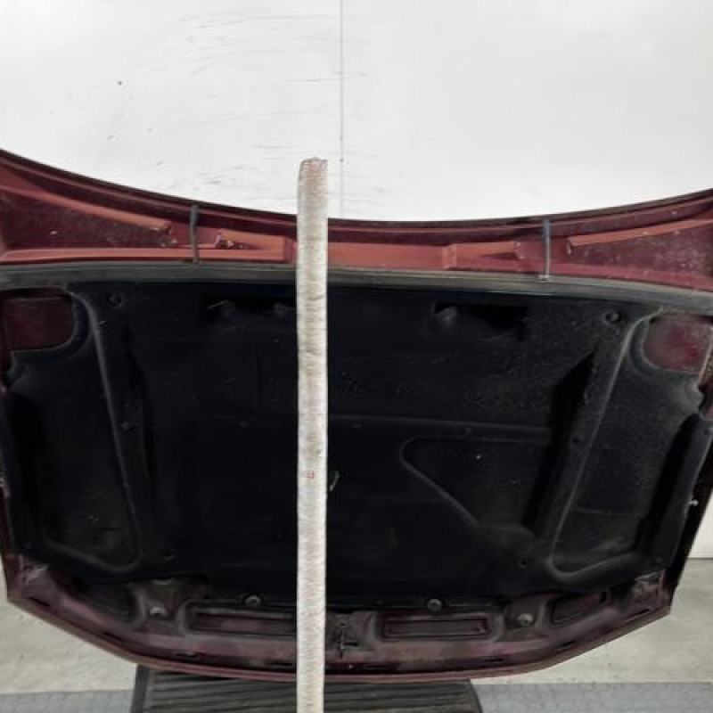 Capot PEUGEOT 406 Photo n°9