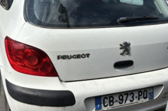 Com (Bloc Contacteur Tournant+Commodo Essuie Glace+Commodo Phare) PEUGEOT 307