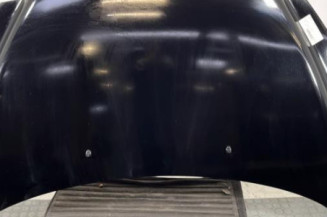 Capot PEUGEOT 308 1 Photo n°1