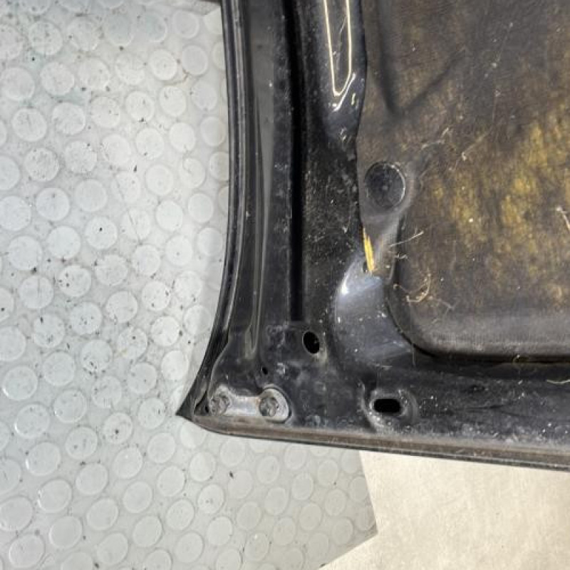 Capot TOYOTA RAV4 2 Photo n°9