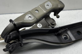 Charniere de capot DS DS5