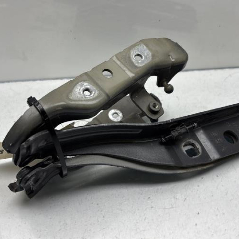 Charniere de capot DS DS5 Photo n°2