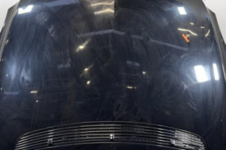 Capot MERCEDES CLASSE R 251 Photo n°1