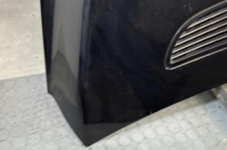 Capot MERCEDES CLASSE R 251