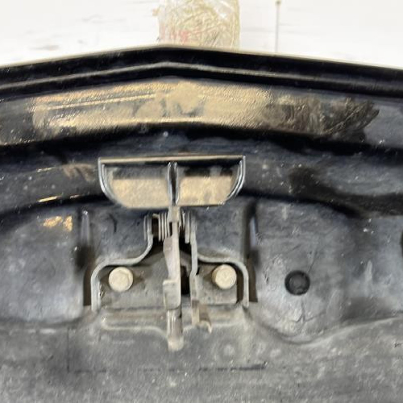 Capot MERCEDES CLASSE R 251 Photo n°10