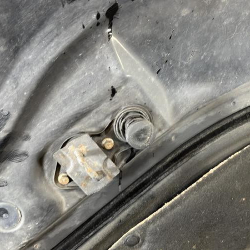 Capot MERCEDES CLASSE R 251 Photo n°11