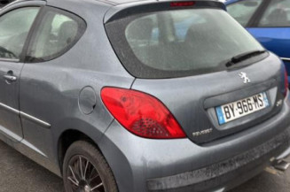 Cremaillere assistee PEUGEOT 207