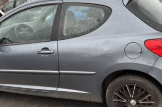 Cremaillere assistee PEUGEOT 207